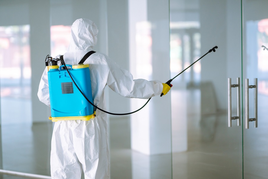Hawx Pest Control Reviews: Reliable Technicians and Fast Help