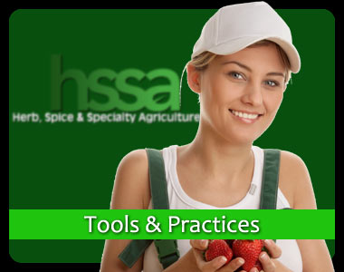Tools and Practices